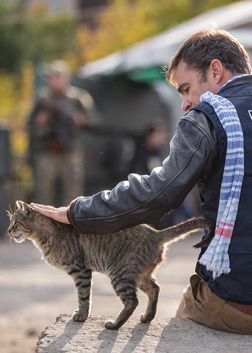 Humanitarian worker and a cat